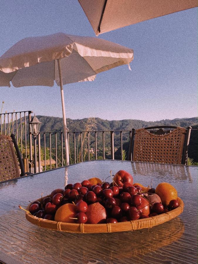 La Pianella Farmhouse Lucca Exteriér fotografie